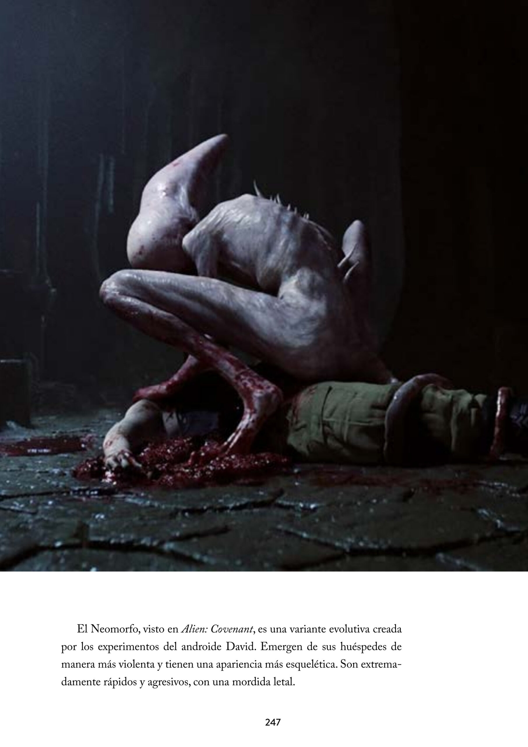 En el espacio nadie puede oír tus gritos. Todo sobre la saga de Alien - Imagen 5